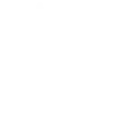 Car Detail